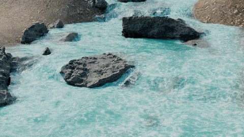 Fluid Cell 2 Blender Animation